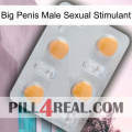 Big Penis Male Sexual Stimulant 24